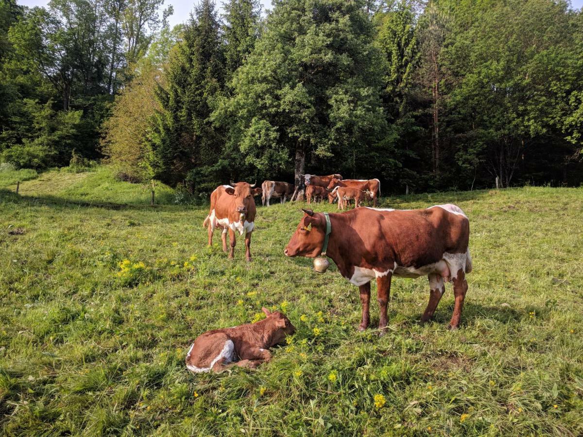 Puzman Farm Glamping Vila Radovljica Exterior foto